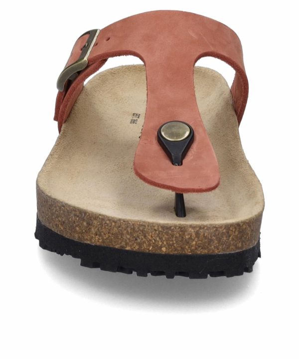 Statictone.shopa5147cb40e 5